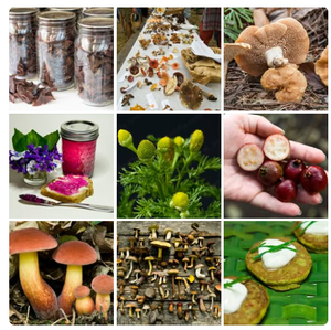 Edible Wild Plants a